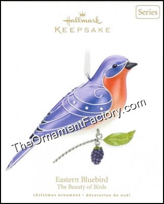 2010_eastern_bluebird